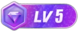 等级-LV5-论坛